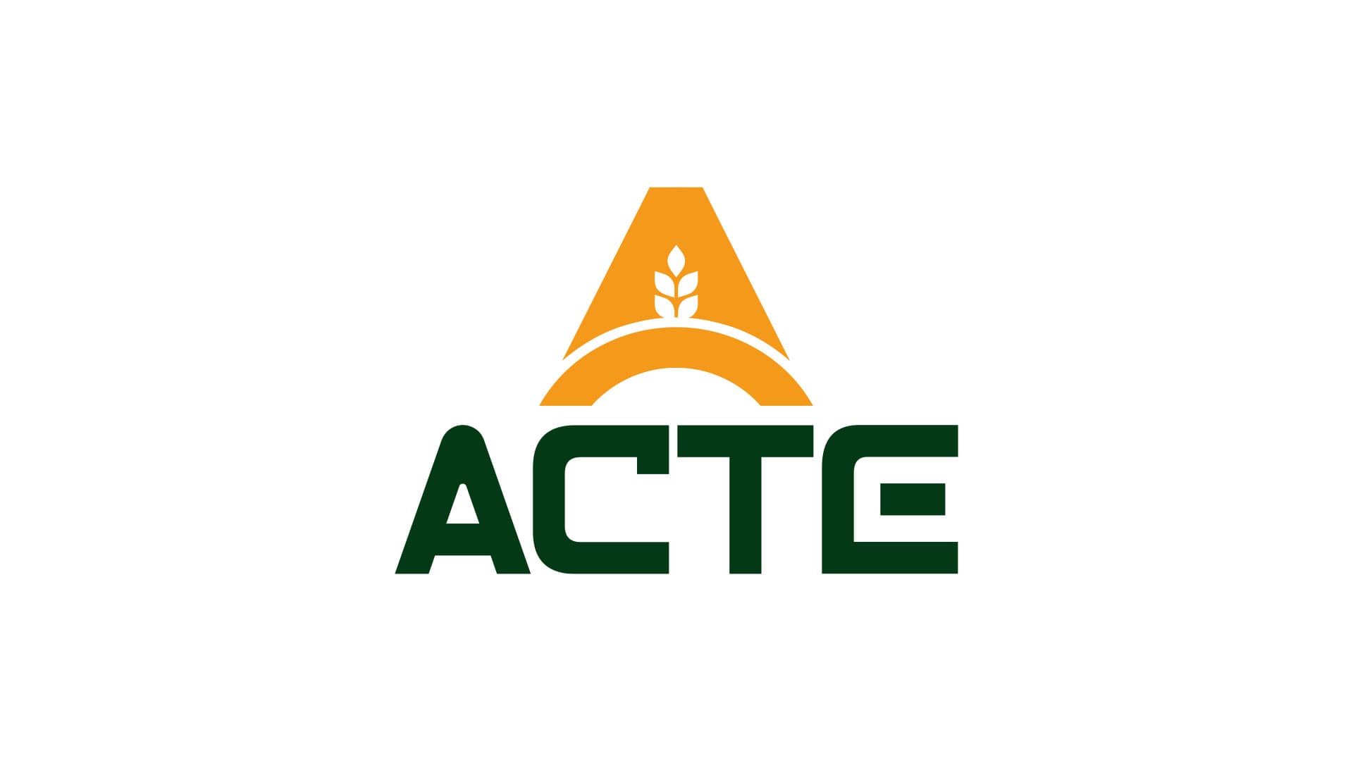 Acte Logo & Visual Identity