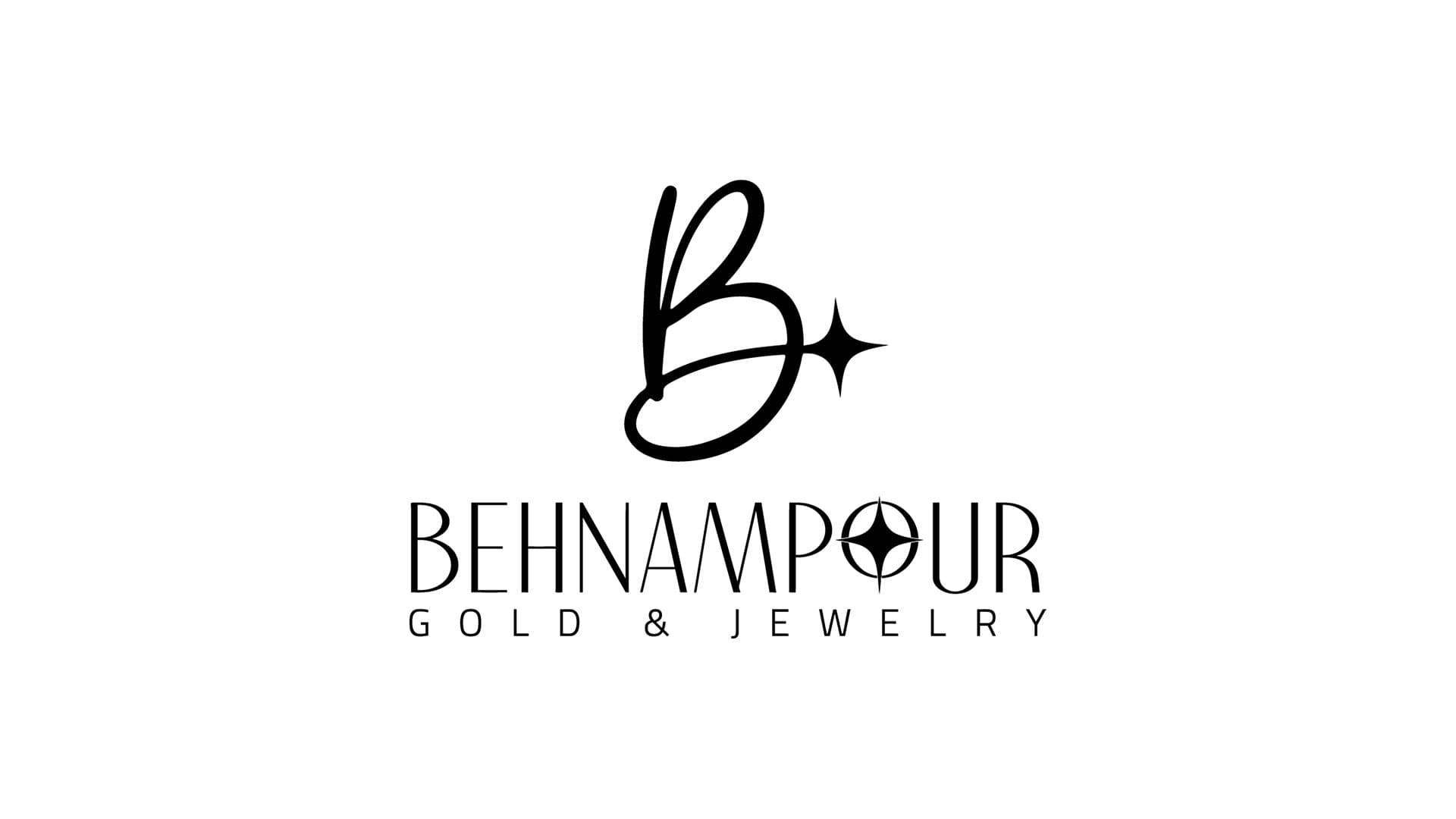 Behnampour Logo & Visual Identity